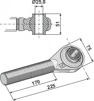 Spindel M30x3,5  Länge  170 / 225 mm Rechtsgewinde